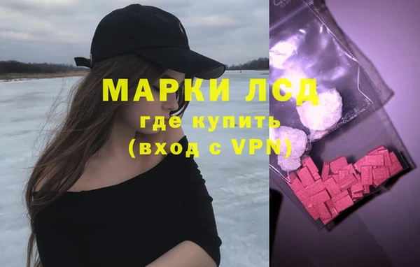индика Богородск