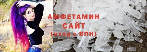 индика Богородск