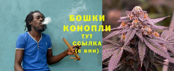 спиды Богданович