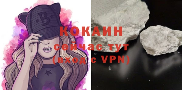 индика Богородск